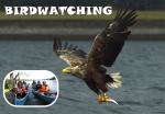Birdwatching - Pravidelne!