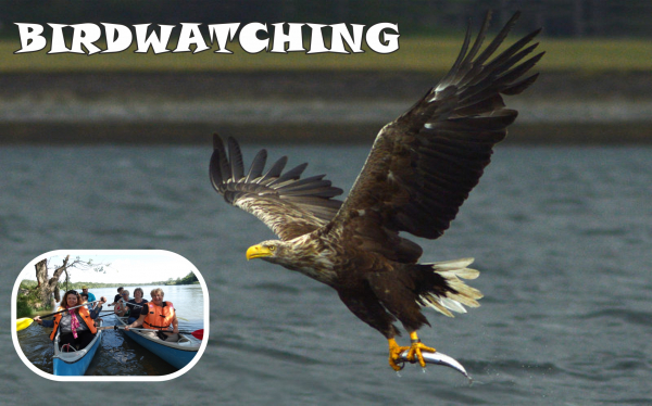 https://www.vodnetury.sk/sk/vodne-tury/pravidelne-akcie/birdwatching/