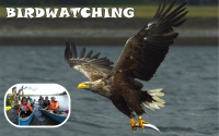 PRAVIDELNE raz do mesiaca od apríla do júla sa konajú naše otvorené BIRDWATCHING programy! Deň a čas je uvedený v kalendári udalostí! 25.5.2025 