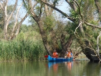 skrytá odbočka